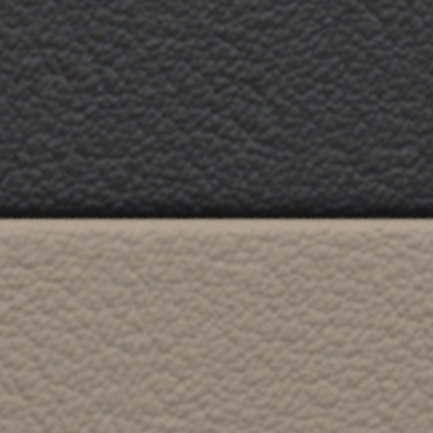 Standard Interior in Black/Limestone Beige