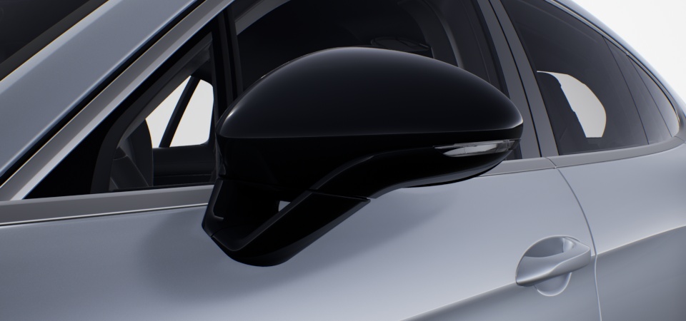 Exterior mirrors painted in Black (high-gloss)