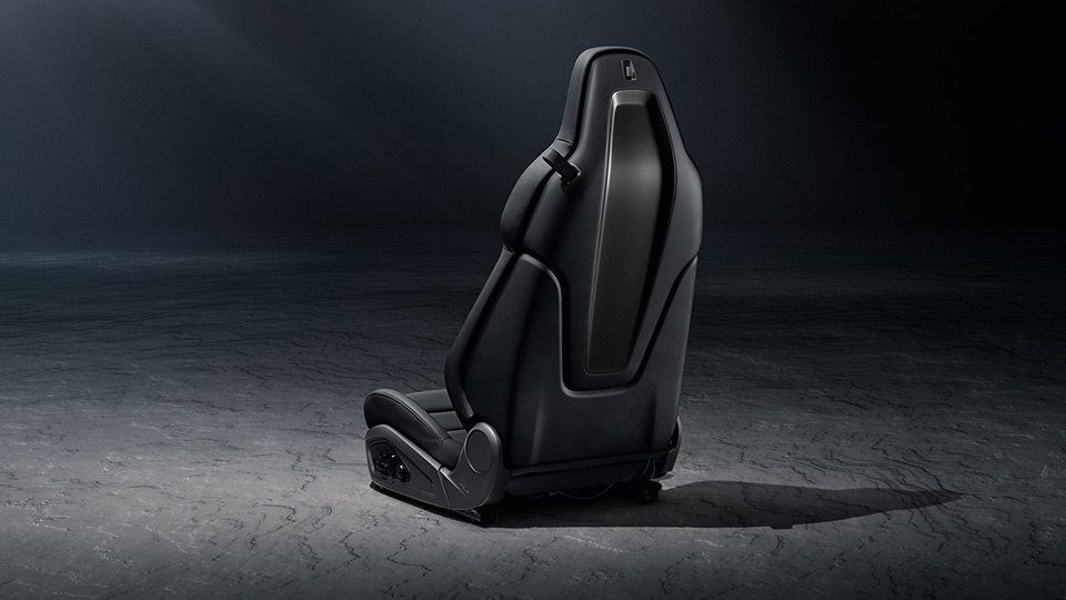 Achterkant Sport Plusstoelen in leder met decoratief inlay in mat carbon