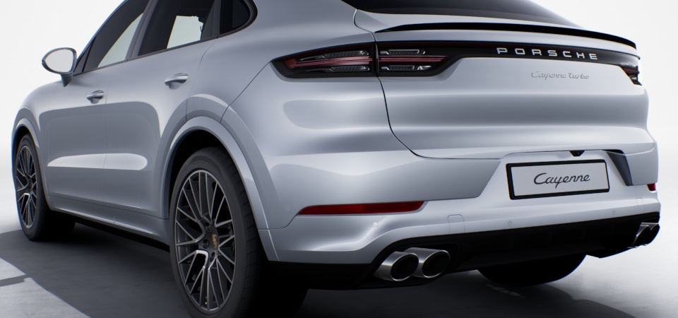 Sport Exhaust System incl. Tailpipes in Silver