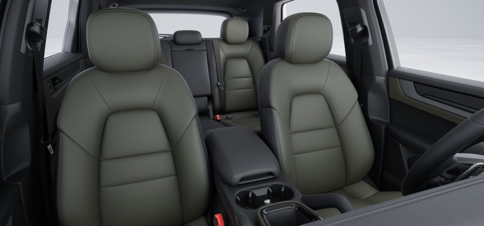 Leather interior in two-tone combination, smooth-finish leather Black and Night Green