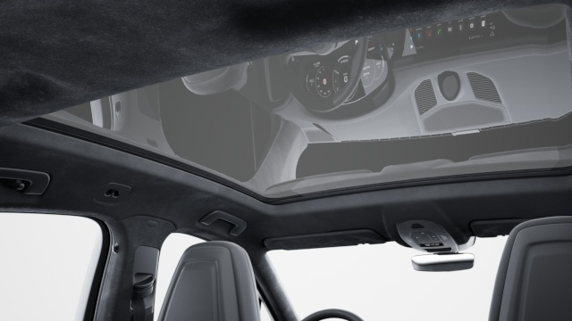 Roof lining in Race-Tex