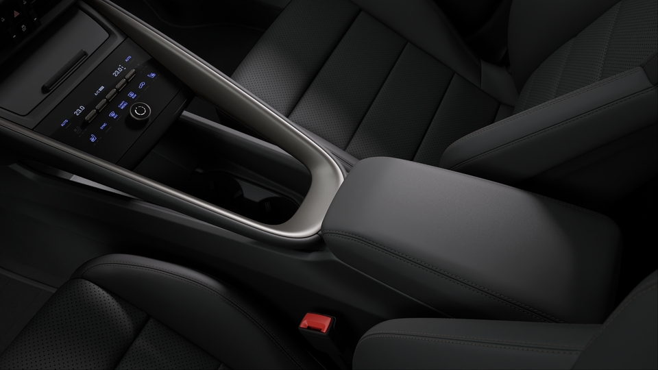 Leather Interior in Black with Turbonite Accents