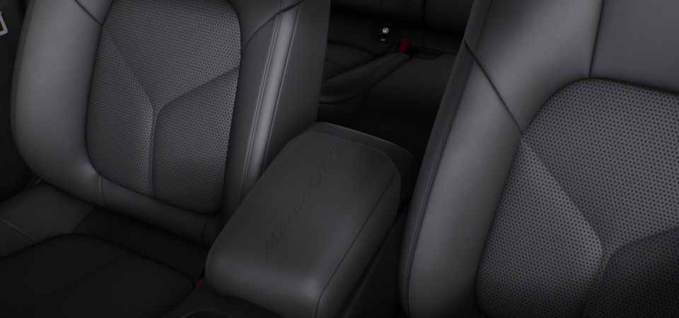 Model Logo on Centre Console Armrest