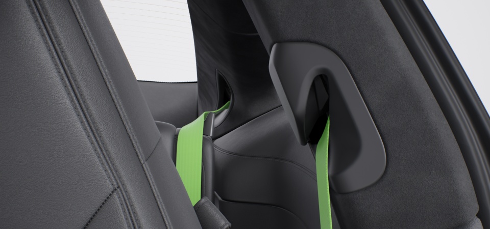 Seat Belts lizard green