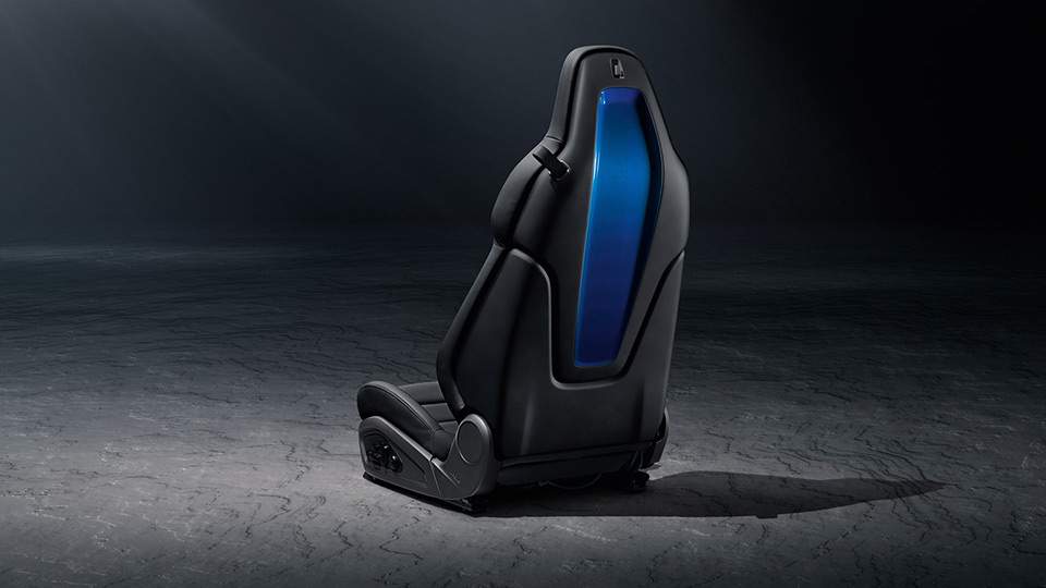 Sports Seat Plus Backrests Leather with decorative Inlay painted in Exterior Colour