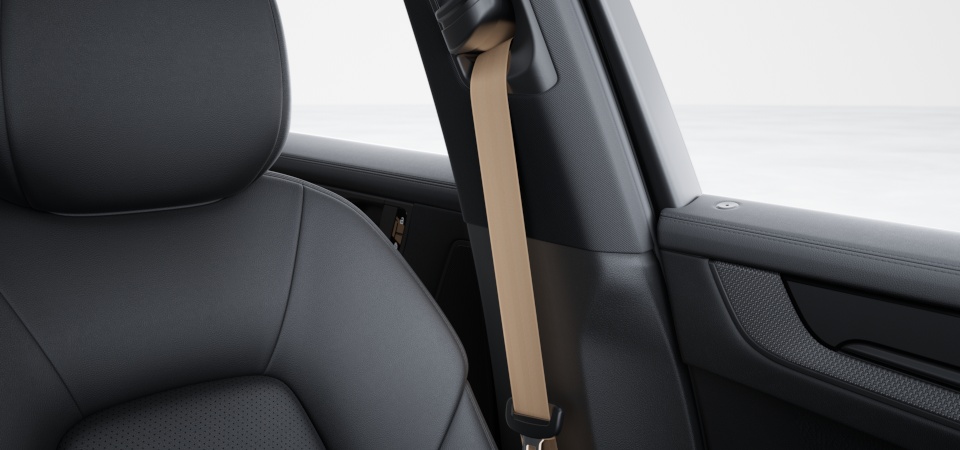 Seat Belts in Mojave Beige