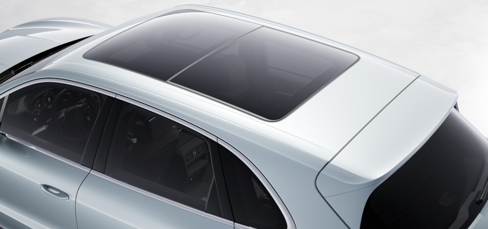 Panoramic roof system