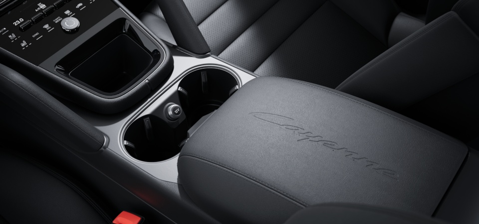 Model Logo embossed on Centre Console Armrests