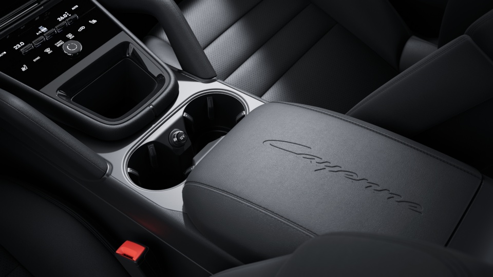 Model Logo embossed on Centre Console Armrests