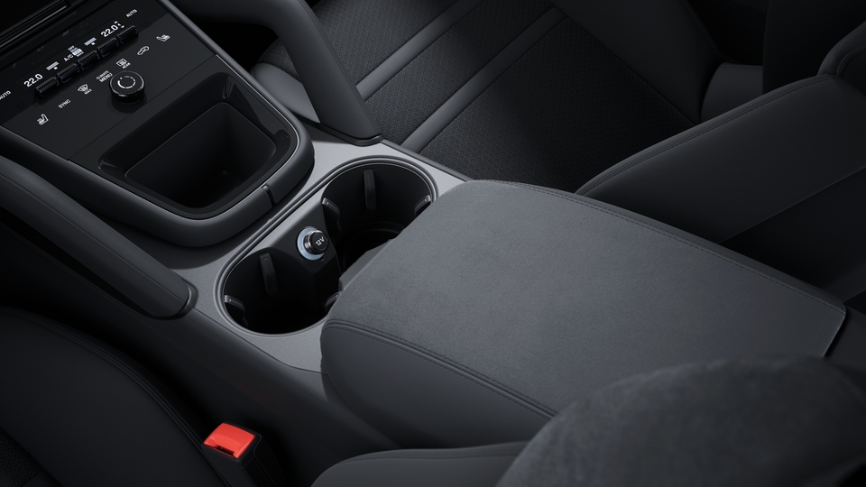 Race-Tex interior with extensive leather items in Black, smooth-finish leather