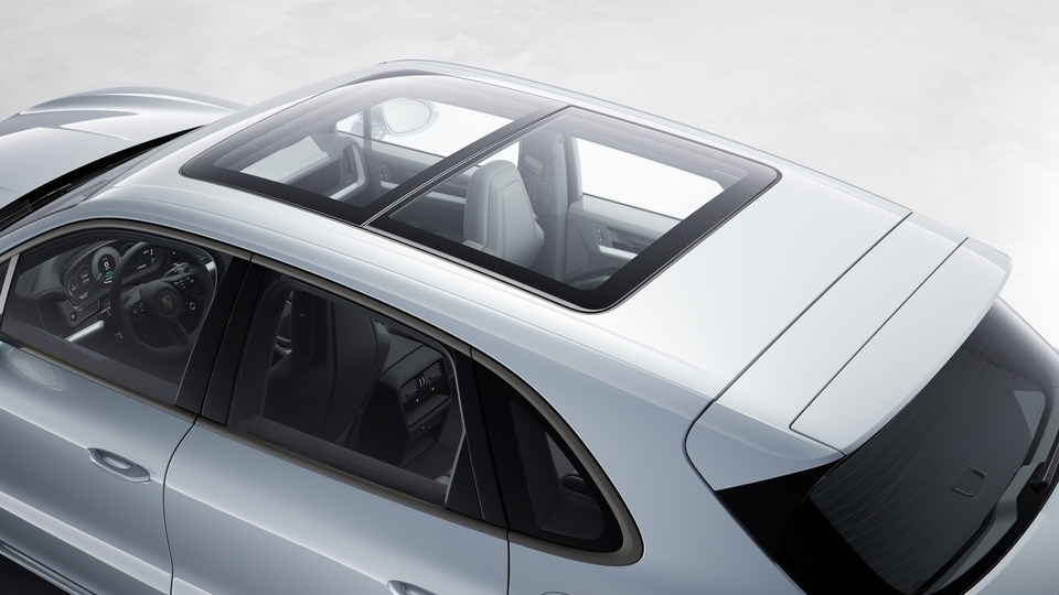 Panoramic roof system