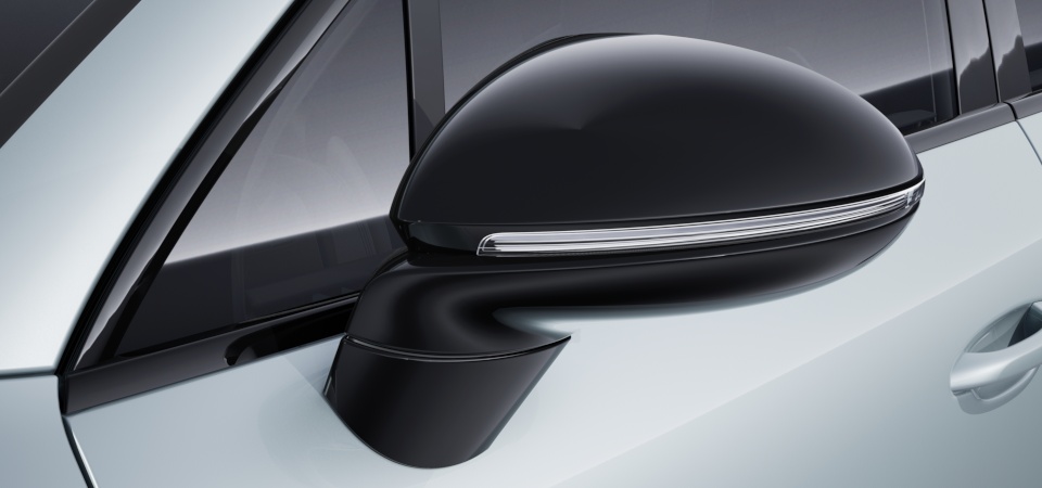 Exterior mirrors painted in Black (high-gloss)