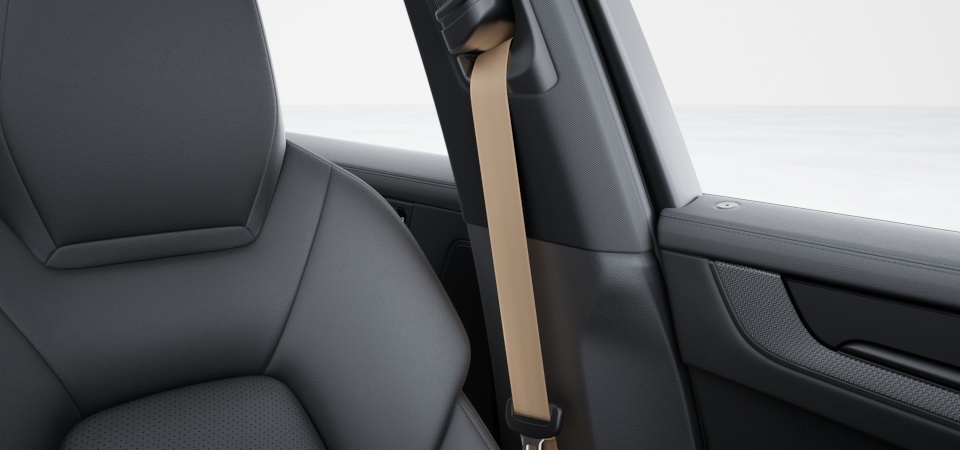 Seat Belts in Mojave Beige