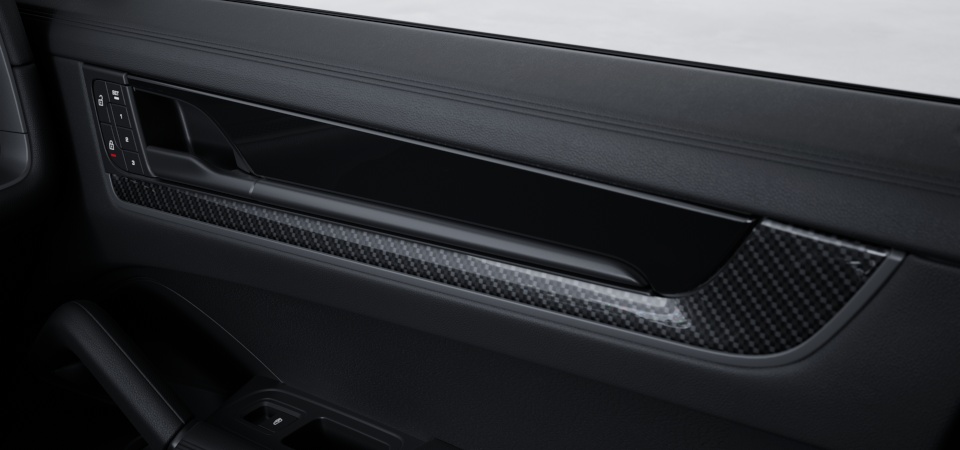 Interior Trim in Carbon Fiber