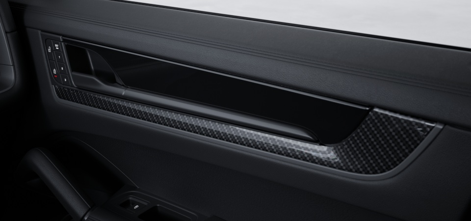 Interior Trim in Carbon Fiber