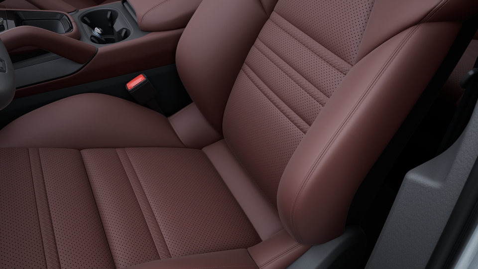 Club Leather Interior in Basalt Black/Barrique with cross stitching