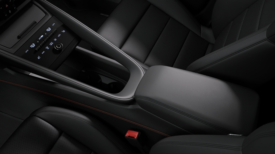 Frame center console leather with coloured decorative stitching