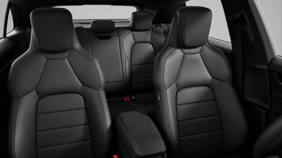 Leather Interior in Black