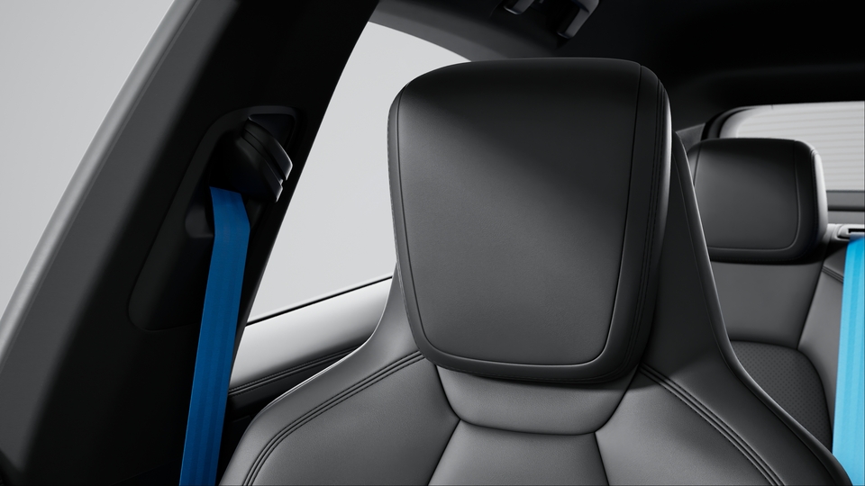 Seat Belts in Arctic Blue