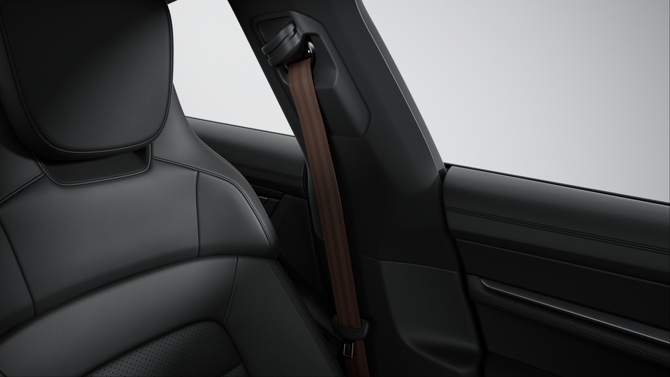 Seat Belts Truffle Brown