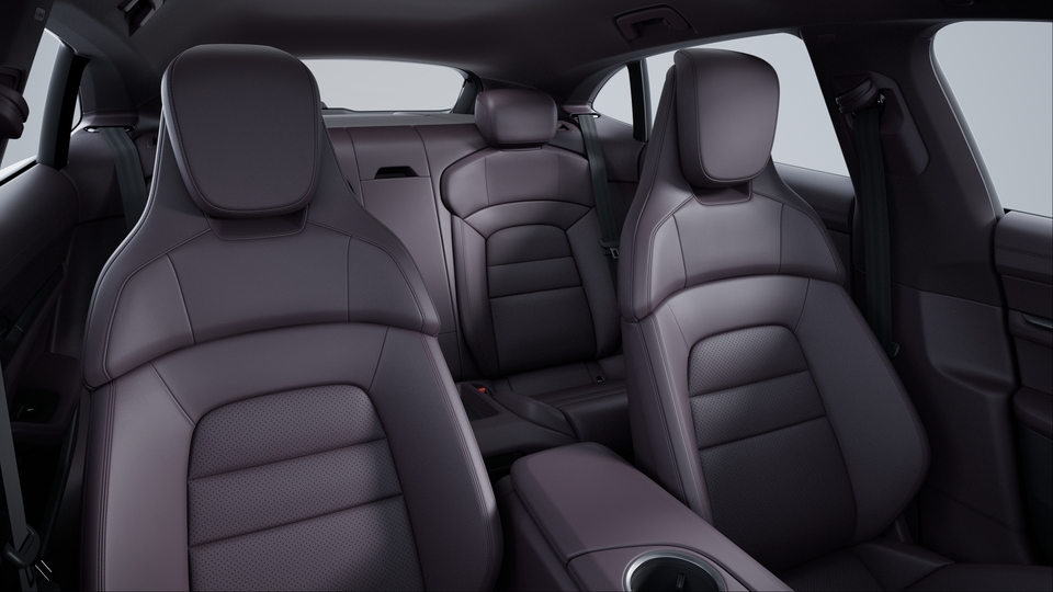 Leather Interior, Smooth-Finish Leather, Bramble