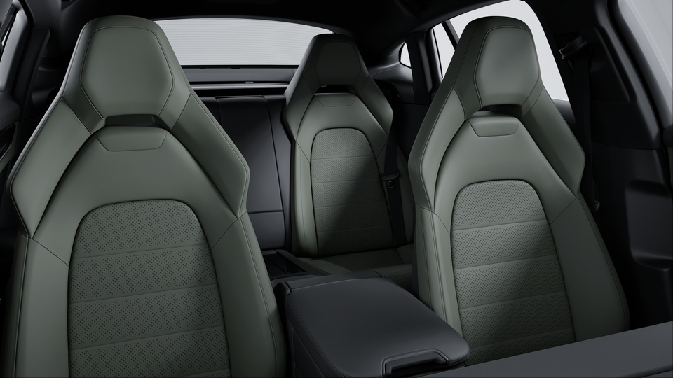 Leather Interior in Black/Night Green