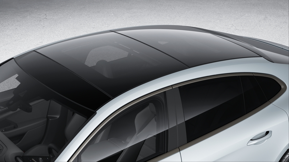 Panoramic roof system