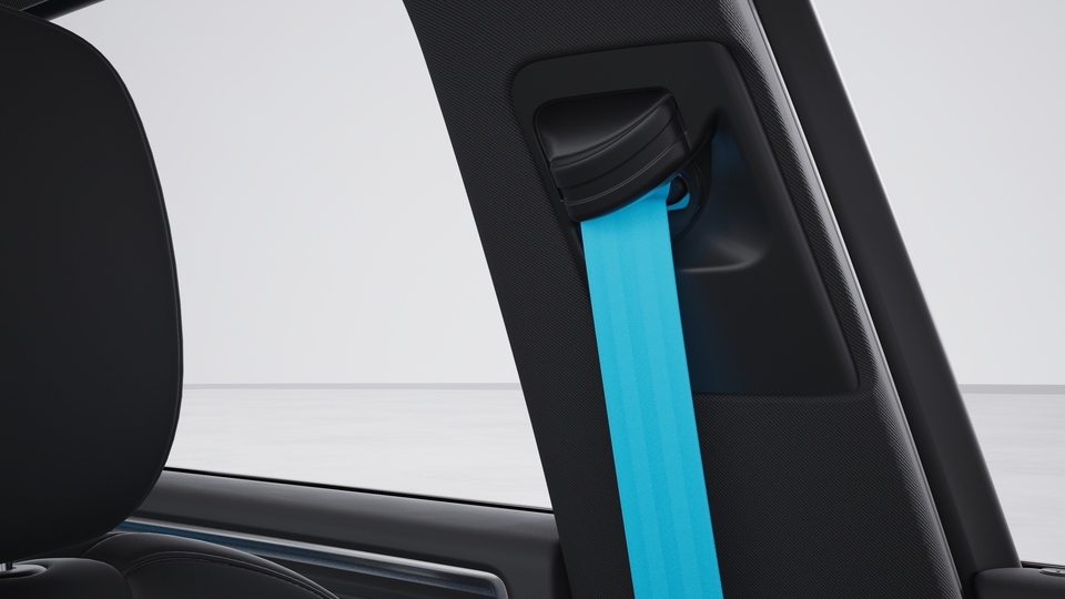 Seat belts miami blue