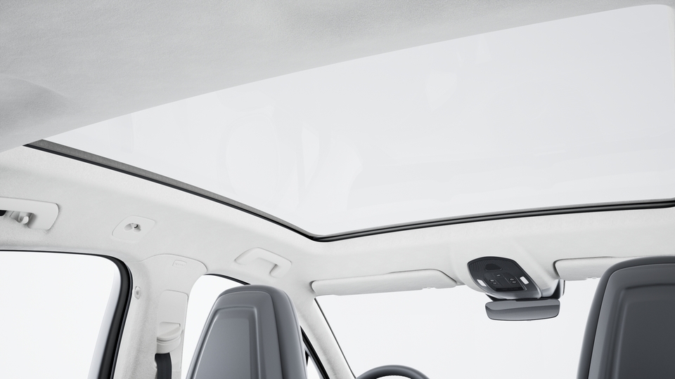 Roof lining in Race-Tex in Kalahari