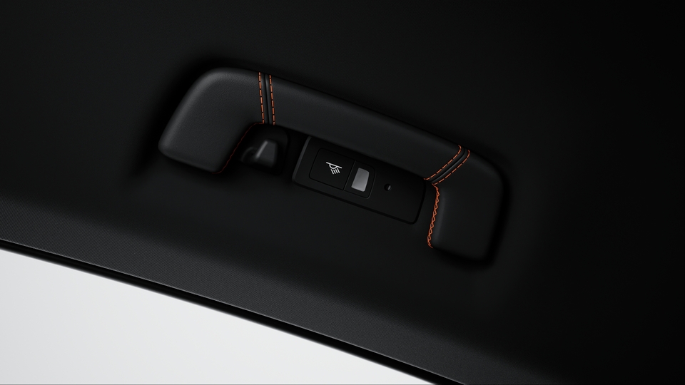 Rooflining grab handles leather with coloured decorative stitching