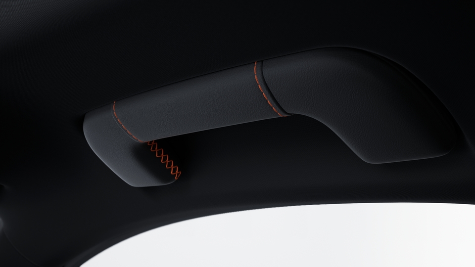 Roof lining grab handles leather with coloured decorative stitching
