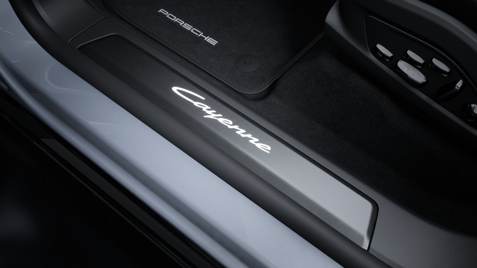 Door sill guards carbon, illuminated