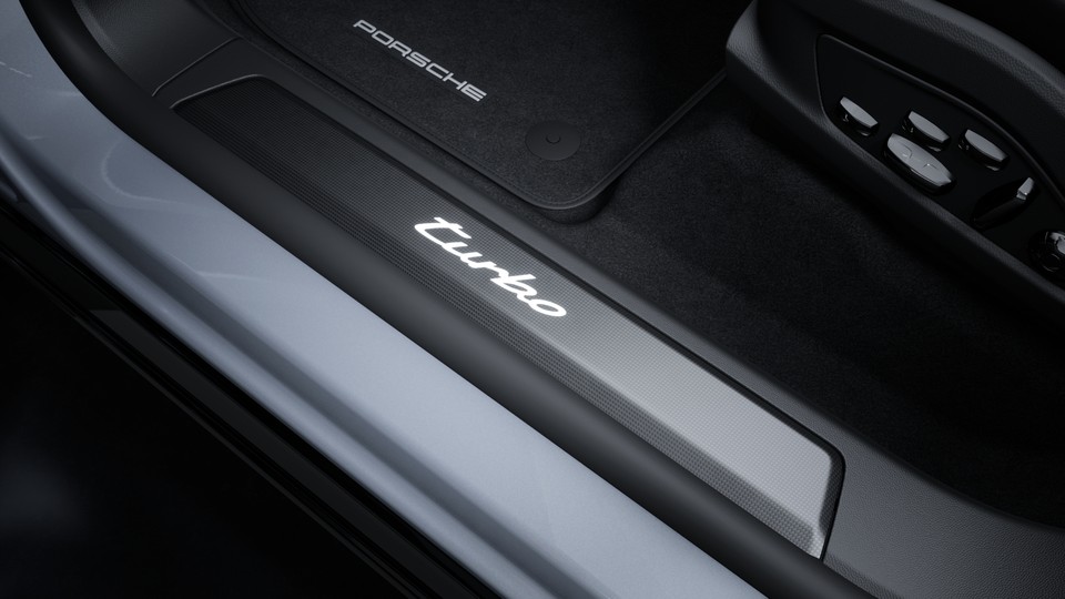 Door sill guards carbon, illuminated