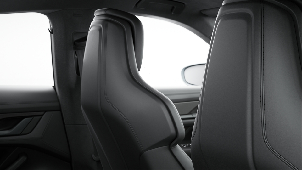 Seat Backrests Leather
