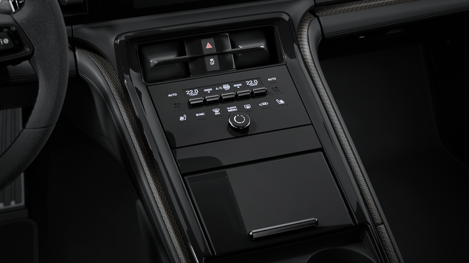 Interior Trim in Neodyme Matte Carbon Fiber