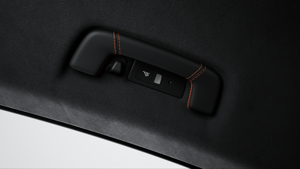 Rooflining grab handles leather with coloured decorative stitching